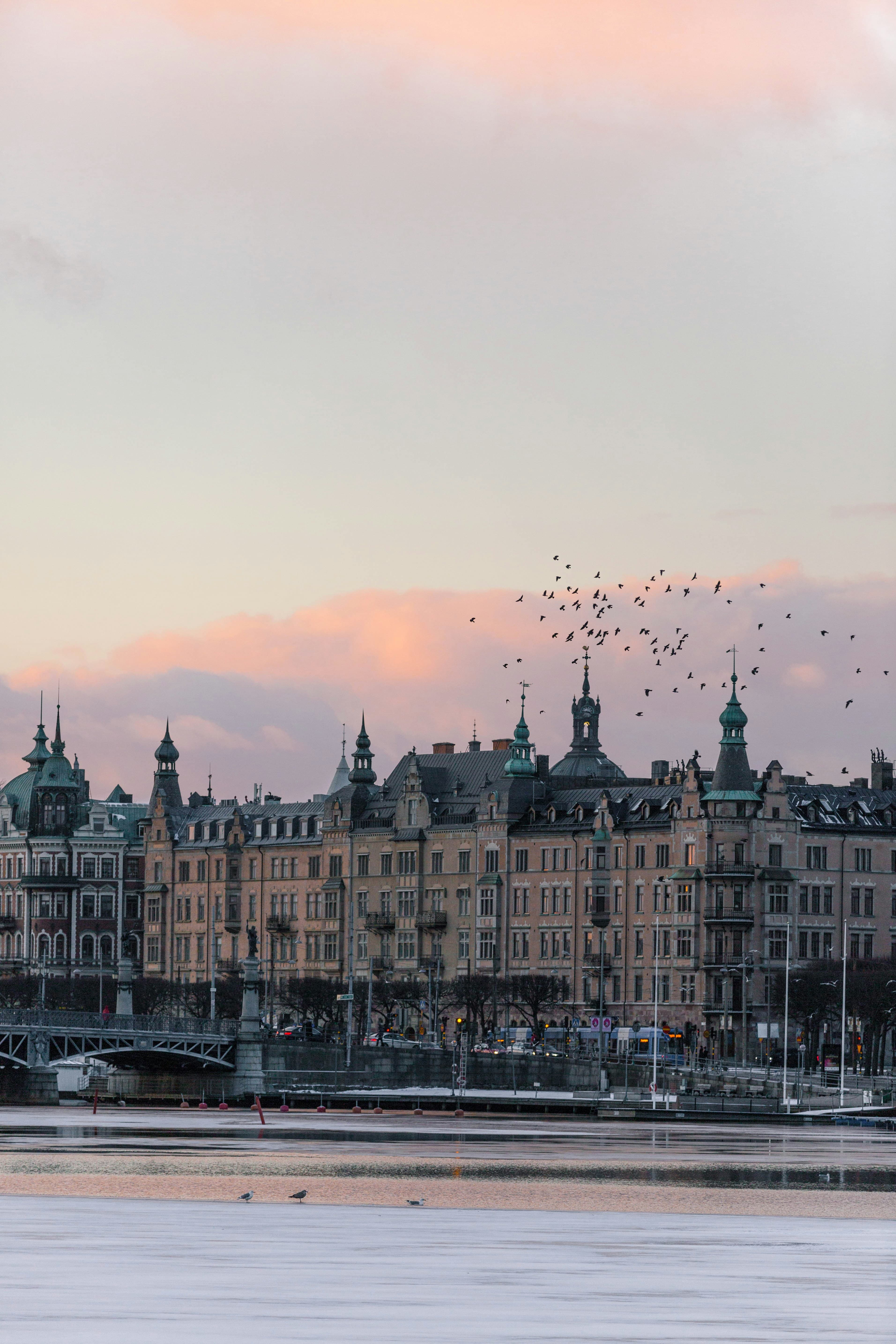 Stadsvy över fastigheter.